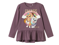 Name It arctic dusk Paw Patrol top 